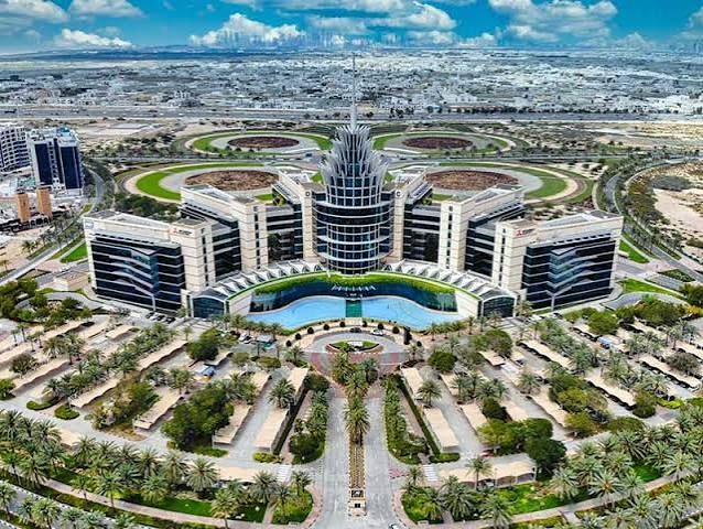 Dubai Silicon Oasis business setup